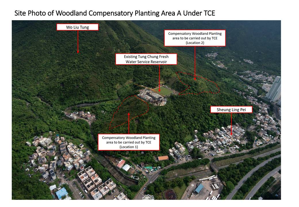 A picture containing text, tree
Description automatically generated